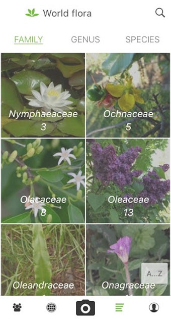 PlantNet Plant Identification