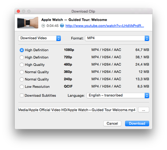 Image 2 pour 4k Video Downloader