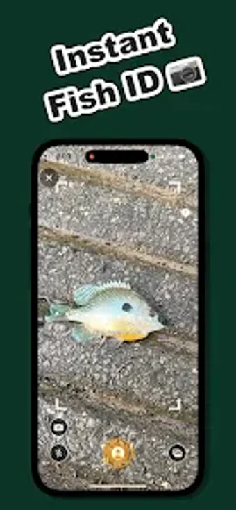 Bild 0 für Catchr: Fishing App