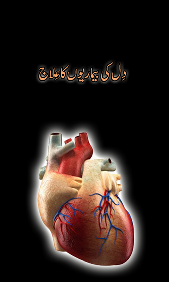 Imagen 0 para Dil Ki Bemarion Ka Ilaj
