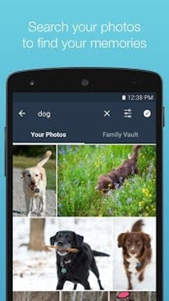 Imagen 0 para Prime Photos from Amazon