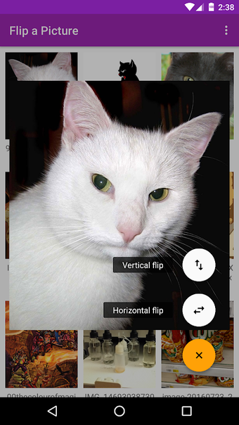 Bild 0 für Flip a Picture (mirror im…