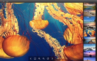 Obraz 0 dla Bloom Image Viewer
