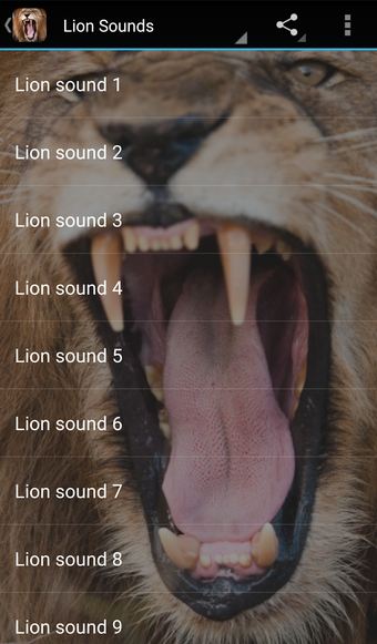 Bild 0 für Lion Sounds