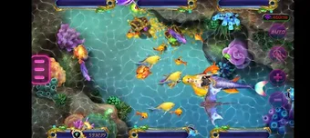 Obraz 0 dla Golden Fishing Net