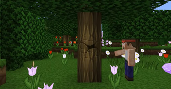 Bild 4 für Sphax PureBDCraft