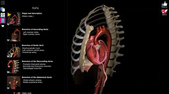 Anatomy Learning - 3D Atl…的第0张图片