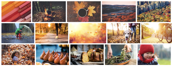 Immagine 3 per Shutterstock
