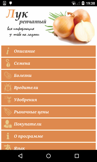 Лук: от «А» до «Я»的第0张图片