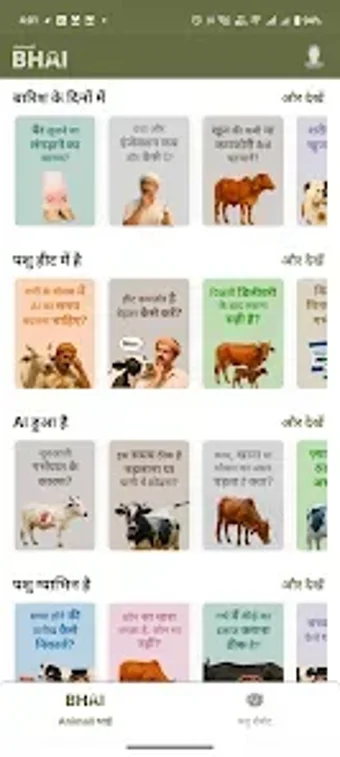 Bild 0 für Animall Bhai