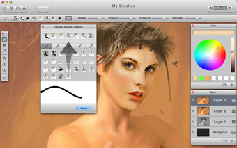 Obraz 0 dla MyBrushes for Mac