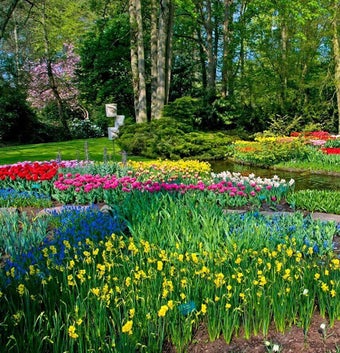 Image 0 for Nature Wallpaper