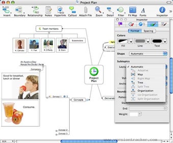 Obraz 0 dla Mindjet MindManager