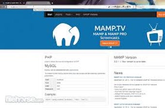 Bild 2 für MAMP