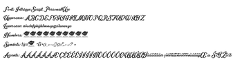 Imagen 0 para Intrique Script