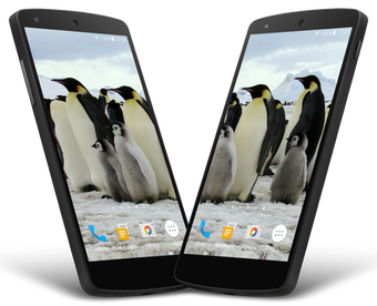 Image 0 for Penguins Video Live Wallp…
