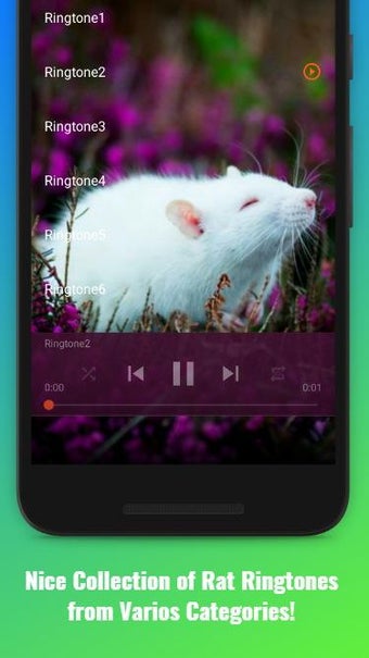 Imagen 0 para Rat Sounds