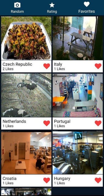Bild 0 für RealLifeCam | Online Came…