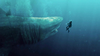 Immagine 0 per Shark Hunting 3D : Shark …