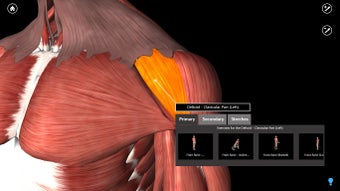 Image 0 for iMuscle 2