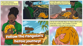 Obraz 0 dla Pangolin Rescue