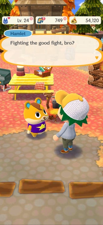 Animal Crossing: Pocket C…の画像0