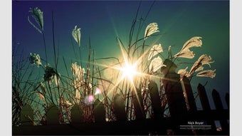 Bild 0 für Light and Dark by Nick Bo…