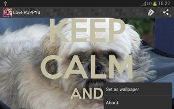 Obraz 0 dla Keep Calm 4 PUPPIES