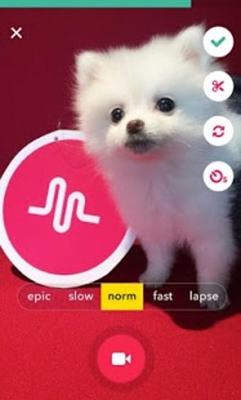 Image 1 pour musical.ly lite