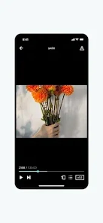 Screxo的第0张图片