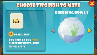 Image 1 pour Fish Live