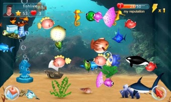 Fish Live的第6张图片
