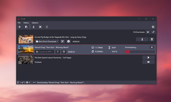 Bild 1 für Vividl Video Downloader