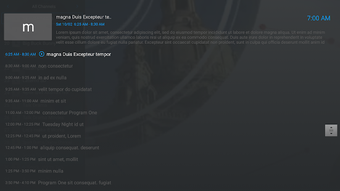 Obraz 10 dla ZalTV Player