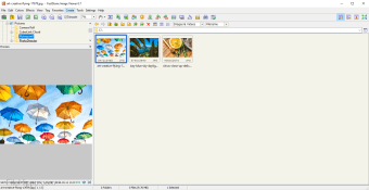 FastStone Image Viewer 7.8 for apple download free