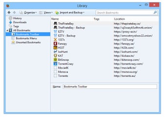 Obraz 3 dla PirateBrowser