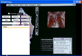 Image 0 for RMVB Player