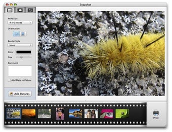 Image 1 pour Snapshot