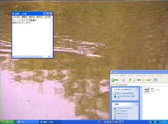 動く壁紙の画像0
