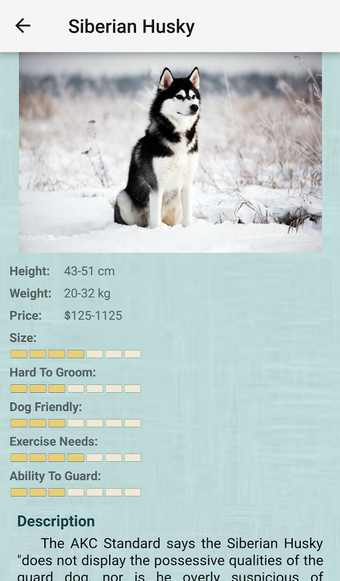 Image 0 for Dog Breeds