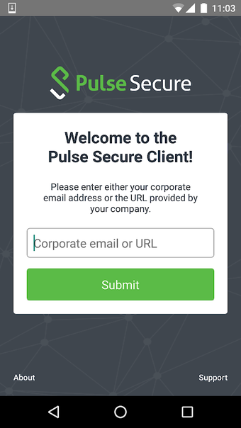 Bild 0 für Pulse Secure