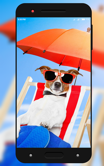 Image 0 for Cute Animal Wallpaper
