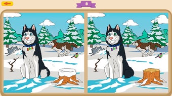 Imagen 0 para Dogs Contrast