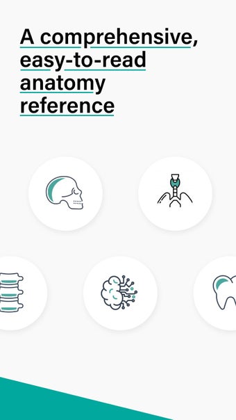 Teach Me Anatomy的第2张图片