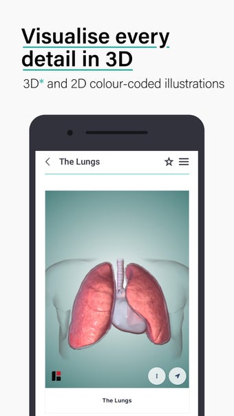 Imagen 4 para Teach Me Anatomy