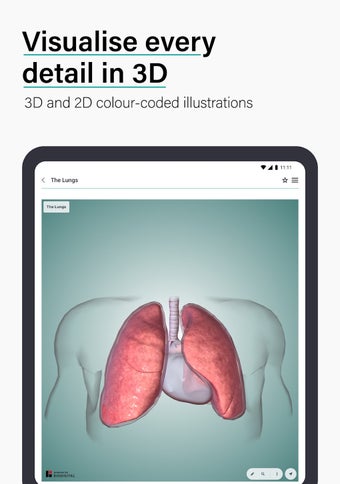 Imagen 15 para Teach Me Anatomy