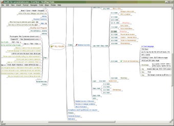 Imagen 3 para FreeMind Portable