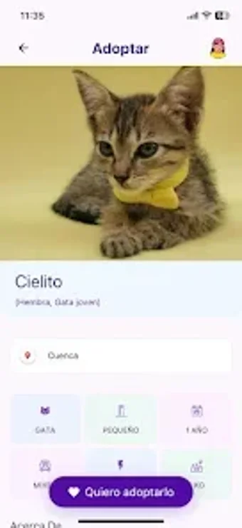 Immagine 0 per Alerta Patitas
