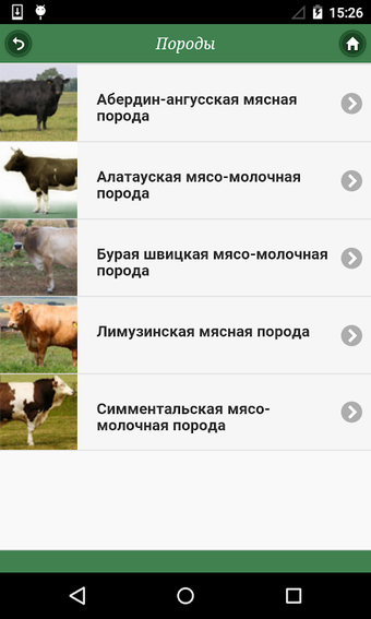Immagine 0 per Крупный рогатый скот