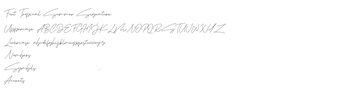 Obraz 0 dla Tropical Summer Signature
